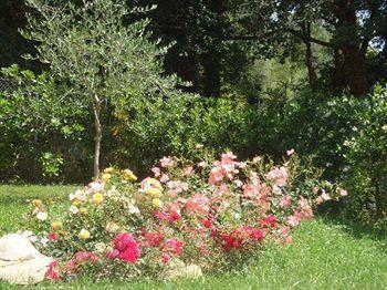 Arianna Hill House Bed & Breakfast La Spezia